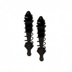 ARA1510 Shock Set...