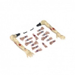 LOS2817 Hair & Arms,...