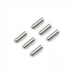 AXI3875 M2.5 x 8mm Pins (6)