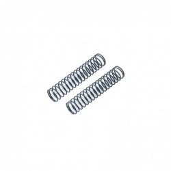 AXI3880 Spring 13x70mm...