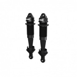 ARA4448 ARRMA Shock Set...