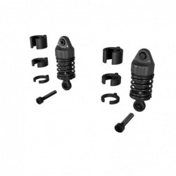 ARA3595 Rear Shock Set...