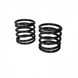 ARA3596 Front Spring Set...
