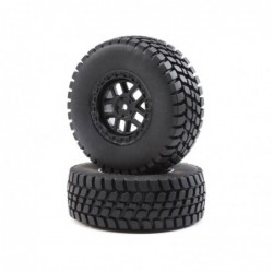 Alpine Wheel and Tire Mounted (2): BR