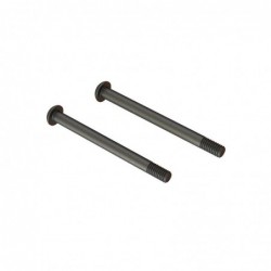 Screw Hinge Pin M4x48mm (2)