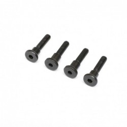 Hinge Screw, Truggy Cage, SCX6 Honcho