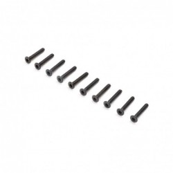 Flat Head Screws, M2x12mm (10)